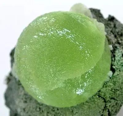 老狼蜜芽忘忧草二区
