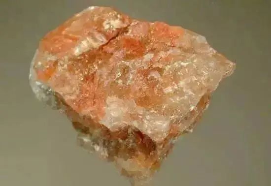 老狼蜜芽忘忧草二区