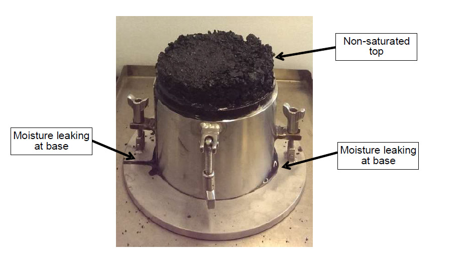老狼蜜芽忘忧草二区